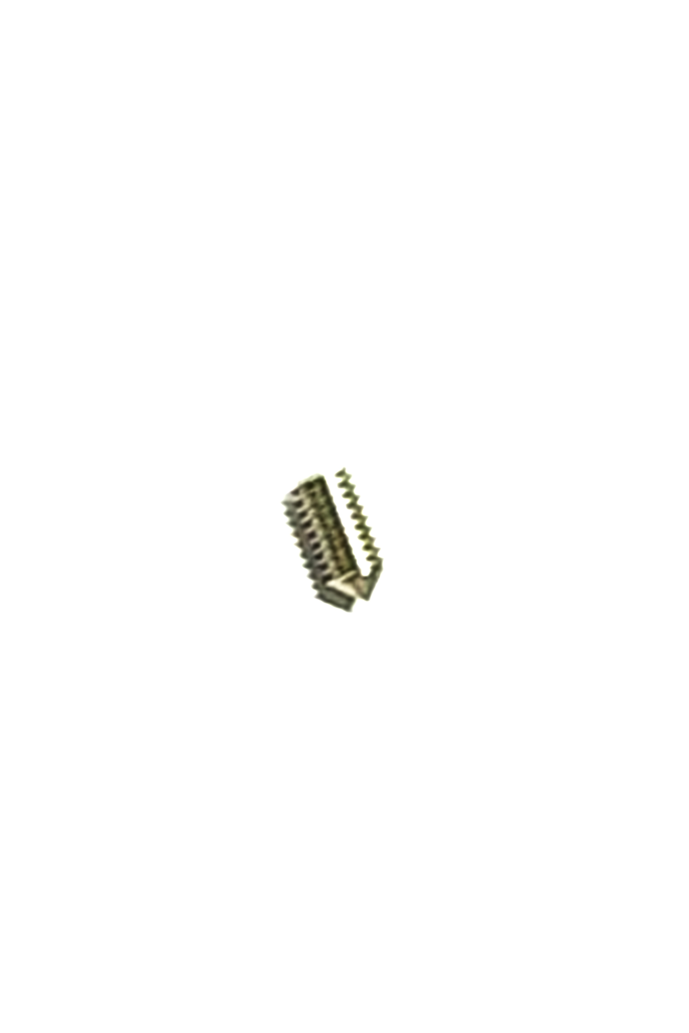Eleveight-Screw for Clam Cleat